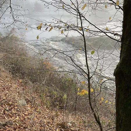 Apartmán Auenwald Roding