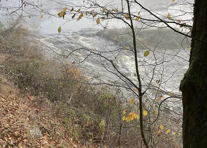 公寓 Auenwald 罗丁